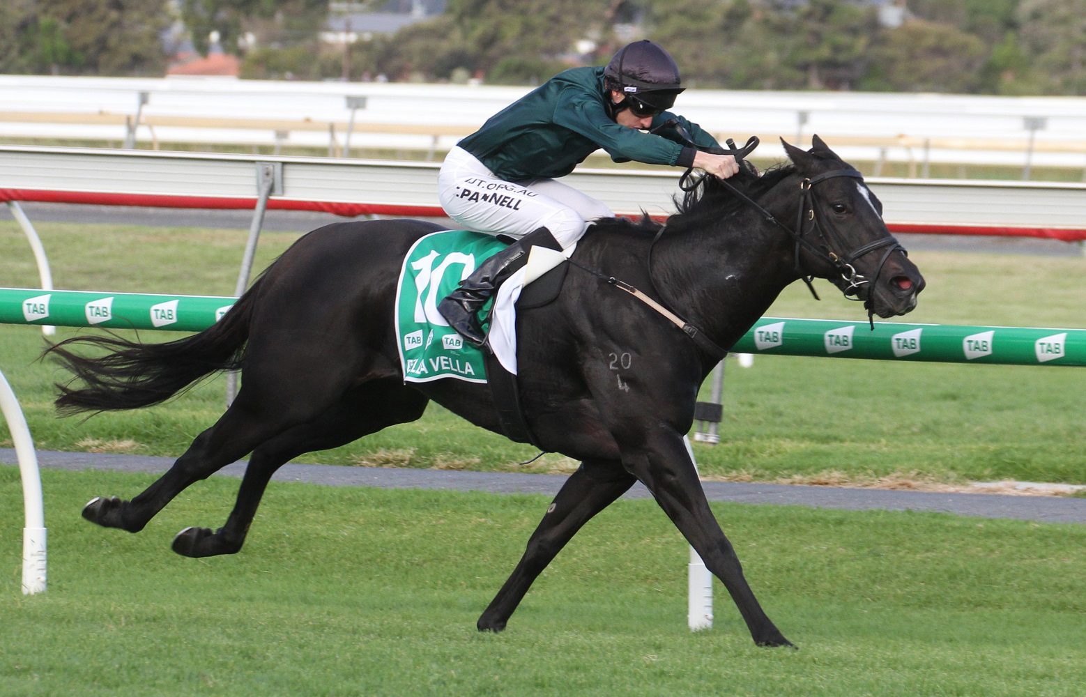 Bella Vella Horse Form (Photo: Jenny Barnes) | Races.com.au