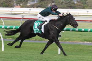 Bella Vella Horse Form (Photo: Jenny Barnes) | Races.com.au