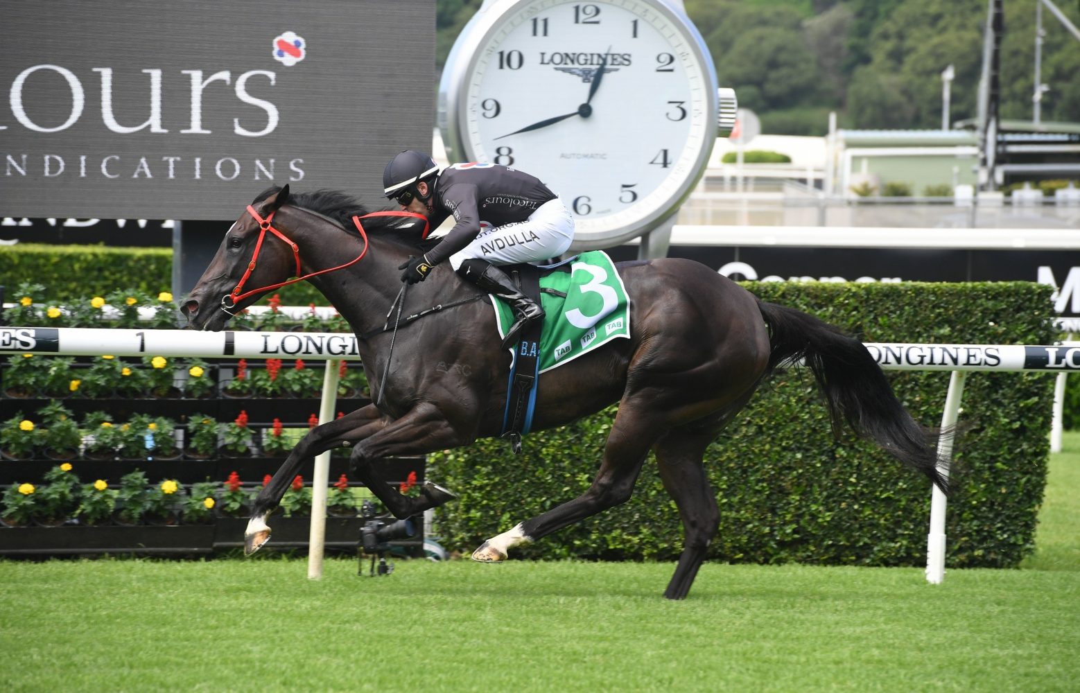 Fasika Horse Form (Photo: Steve Hart) | Races.com.au