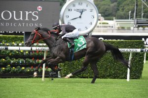 Fasika Horse Form (Photo: Steve Hart) | Races.com.au
