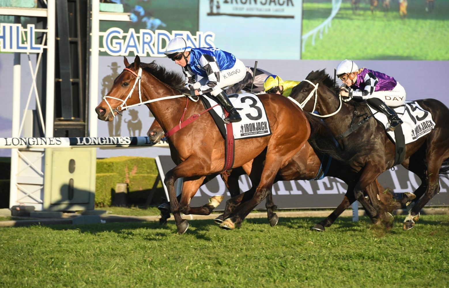 Mugatoo Horse Form (Photo: Steve Hart) | Races.com.au