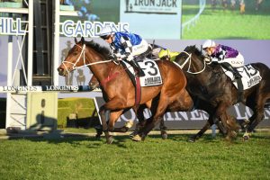 Mugatoo Horse Form (Photo: Steve Hart) | Races.com.au
