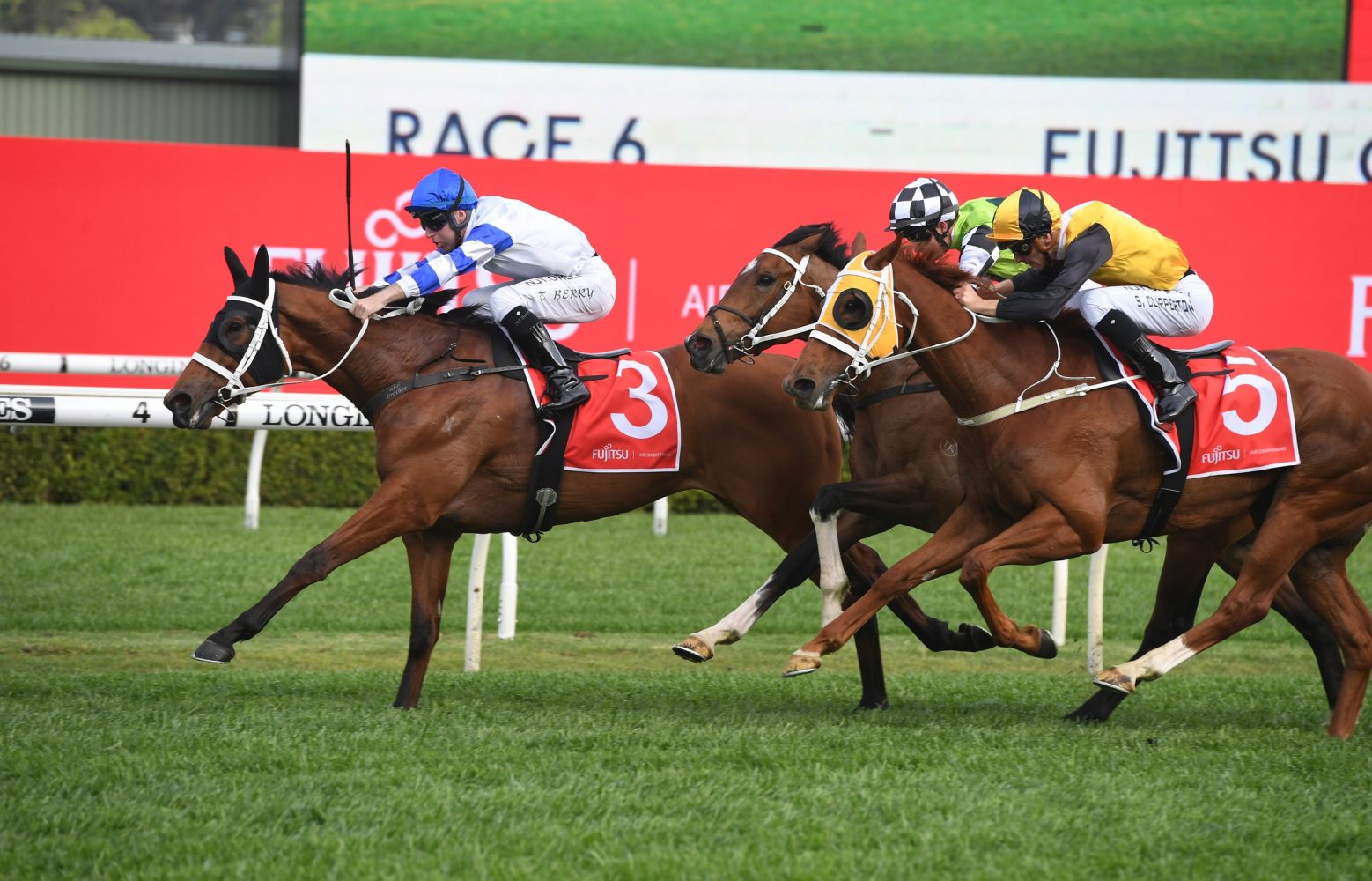 Kolding Horse Form (Photo: Steve Hart) | Races.com.au