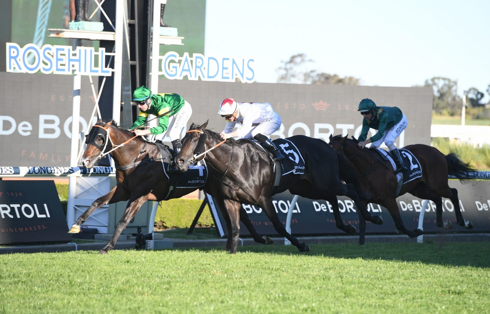 Ole Kirk Horse Form (Photo: Steve Hart) | Races.com.au