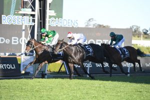 Ole Kirk Horse Form (Photo: Steve Hart) | Races.com.au