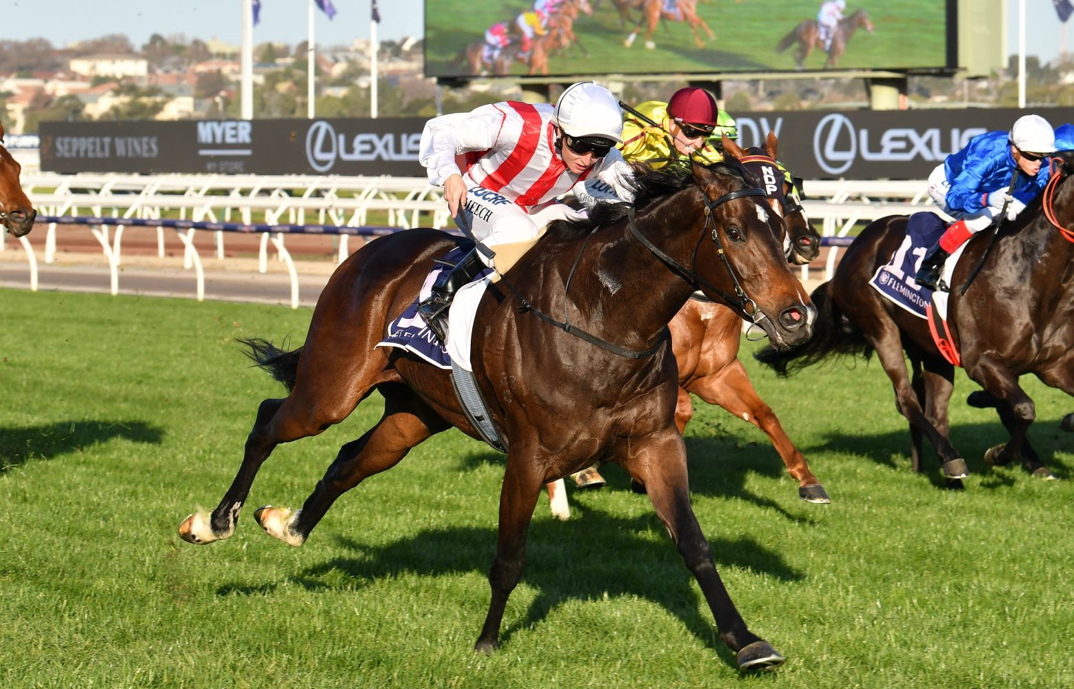 Zoutori Horse Form (Photo: Ultimate Racing Photos) | Races.com.au