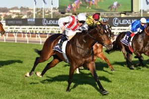 Zoutori Horse Form (Photo: Ultimate Racing Photos) | Races.com.au