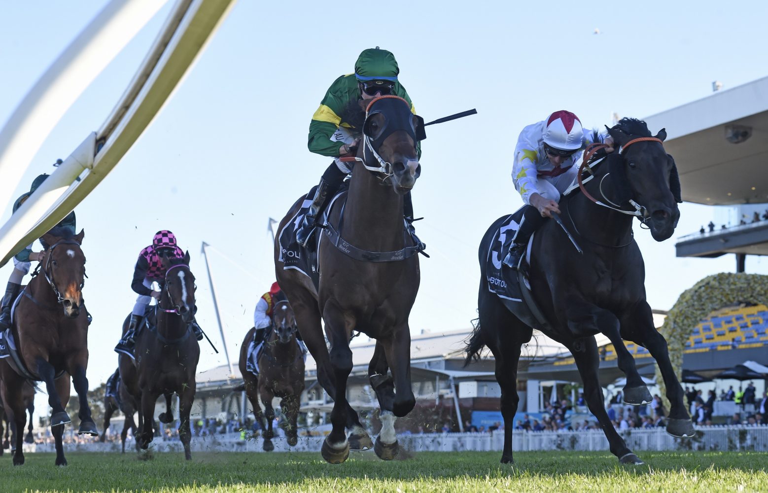 Ole Kirk Horse Form (Photo: Steve Hart) | Races.com.au
