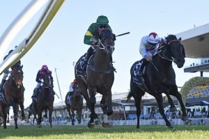 Ole Kirk Horse Form (Photo: Steve Hart) | Races.com.au