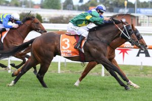 Ole Kirk Horse Form (Photo: Ultimate Racing Photo) | Races.com.au