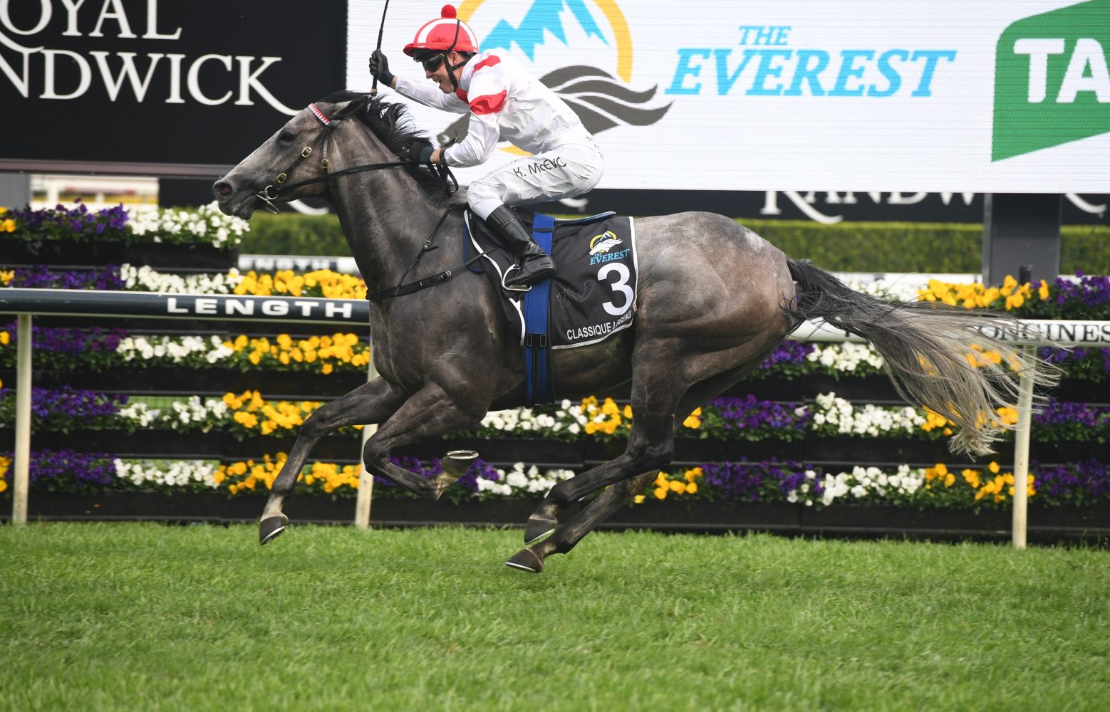 Classique Legend Horse Form (Photo: Steve Hart) | Races.com.au