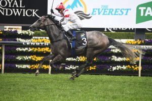 Classique Legend Horse Form (Photo: Steve Hart) | Races.com.au