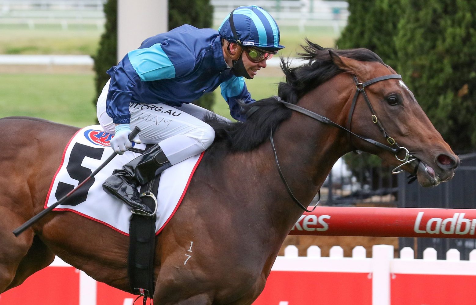 Portland Sky Horse Form (Photo: Ultimate Racing Photo) | Races.com.au