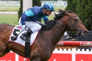 Portland Sky Horse Form (Photo: Ultimate Racing Photo) | Races.com.au