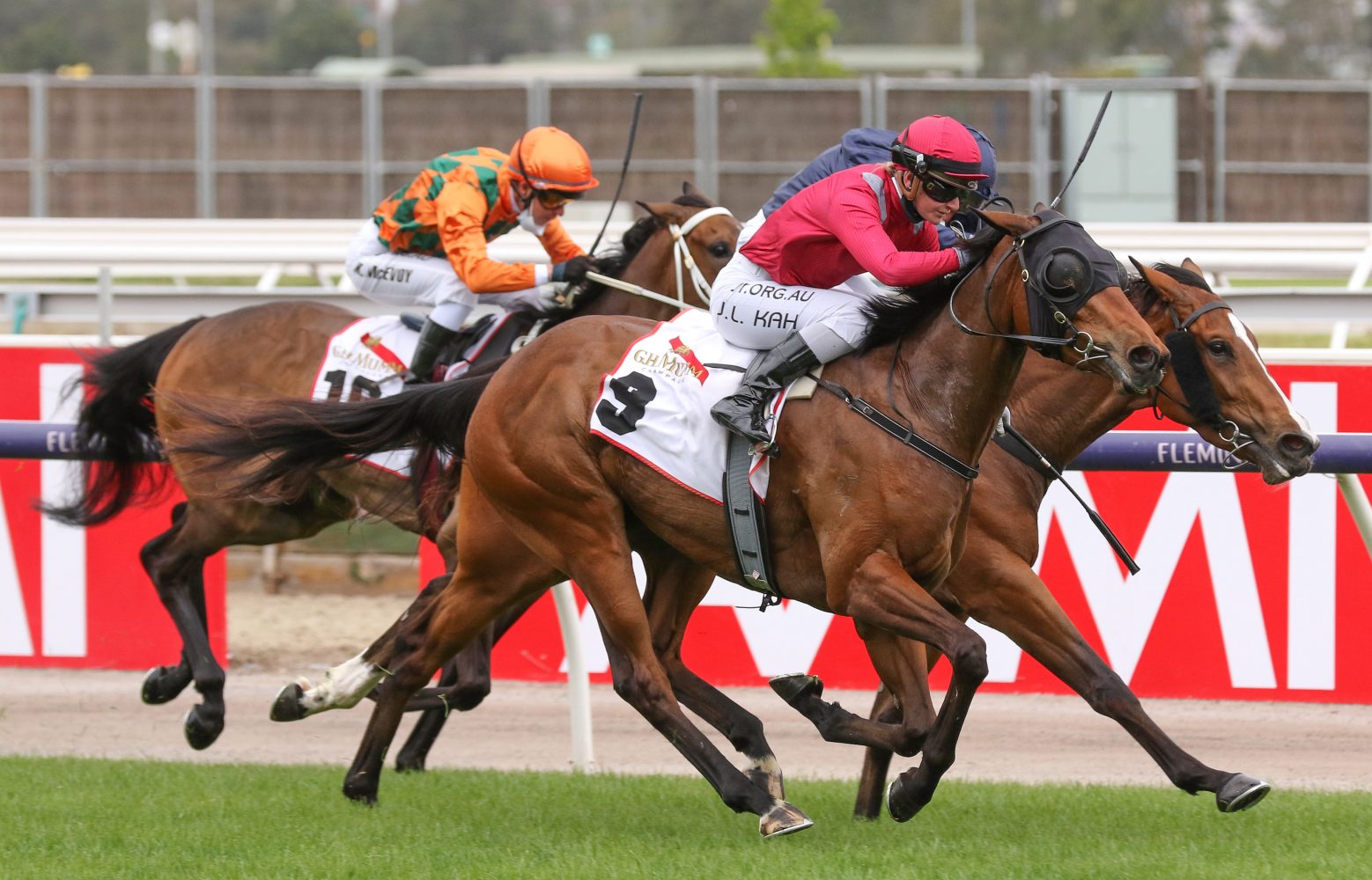 Victoria Quay Horse Form (Photo: Ultimate Racing Photos) | Races.com.au