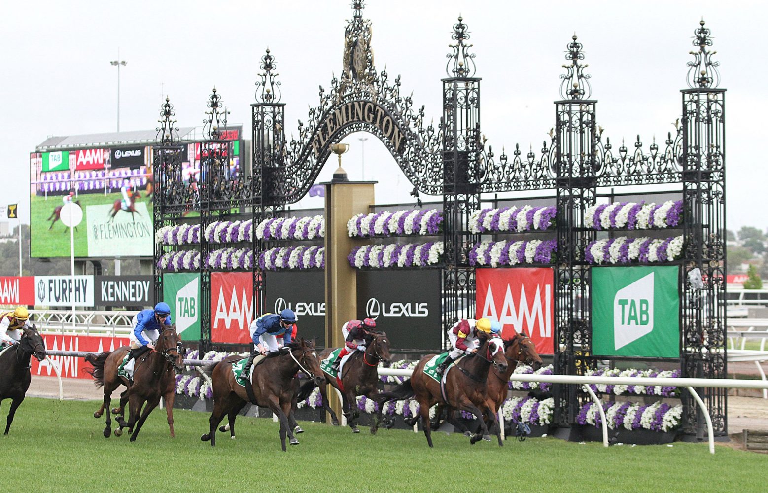 Shout The Bart Horse Form (Photo: Ultimate Racing Photos) | Races.com.au