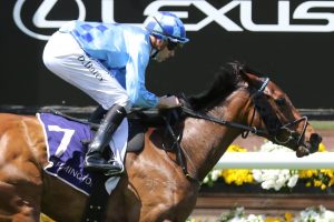 No Restriction Horse Form (Photo: Ultimate Racing Photos) | Races.com.au