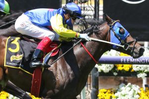 Alleboom Horse Form (Photo: Ultimate Racing Photos) | Races.com.au