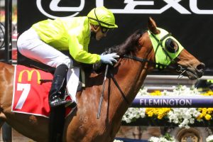 Sin To Win Horse Form (Photo: Ultimate Racing Photos) | Races.com.au