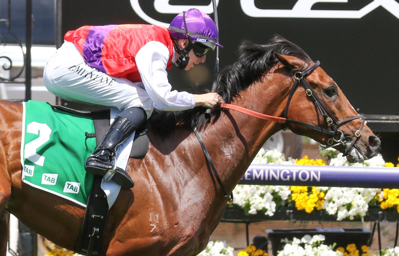 Ain'tnodeeldun Horse Form (Photo: Ultimate Racing Photos) | Races.com.au
