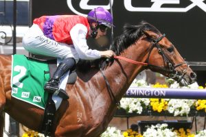 Ain'tnodeeldun Horse Form (Photo: Ultimate Racing Photos) | Races.com.au