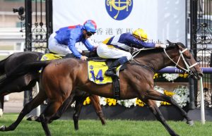 Rich Hips Horse Form (Photo: Ultimate Racing Photos) | Races.com.au