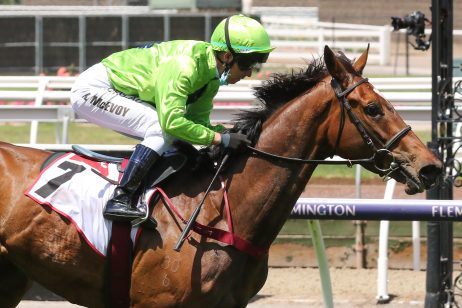 Tralee Rose Horse Form (Photo: Ultimate Racing Photos) | Races.com.au