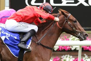 Dosh Horse Form (Photo: Ultimate Racing Photos) | Races.com.au