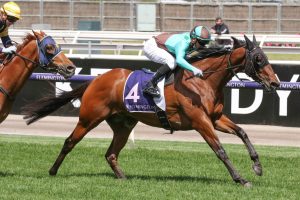 Irish Flame Horse Form (Photo: Ultimate Racing Photos) | Races.com.au