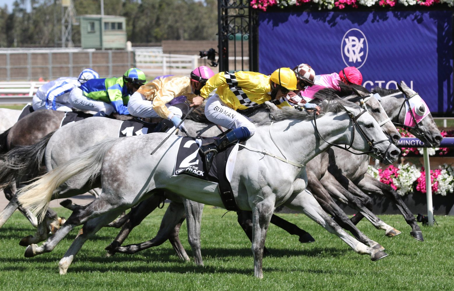 Berdibek Horse Form (Photo: Ultimate Racing Photos) | Races.com.au