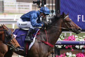 Do You Reckon Horse Form (Photo: Ultimate Racing Photos) | Races.com.au