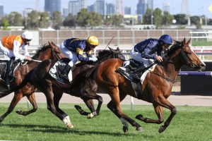 2020 Kennedy Oaks Winner Personal (Photo: Ultimate Racing Photos) | Races.com.au