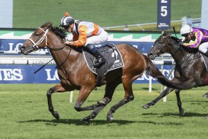 Through The Cracks Horse Form (Photo: Steve Hart) | Races.com.au
