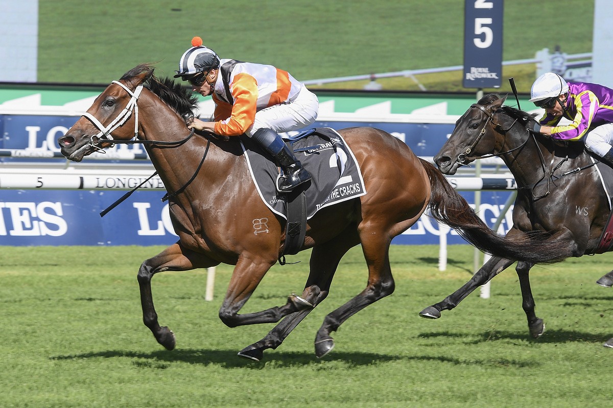 Through The Cracks Horse Form (Photo: Steve Hart) | Races.com.au