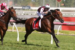 2018 Australian Day Guineas Results: Grunt Wins
