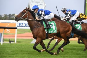 2019 Caloundra Cup Field & Betting Update: Travistee Market Mover