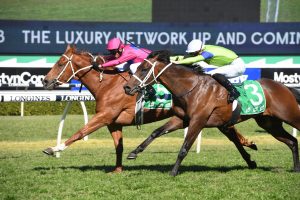 Up and Coming Winner True Detective Looks Ahead to Golden Rose After Protest Win