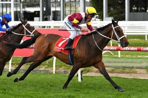 Tattersall's Cup Winner Brimham Rocks In Another Waller Domination