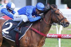 Trekking Wins the 2019 Schillaci Stakes, But No Word Yet on The Everest
