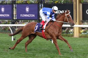 Gytrash Horse Form (Photo: Ultimate Racing Photos) | HorseRacing.com.au