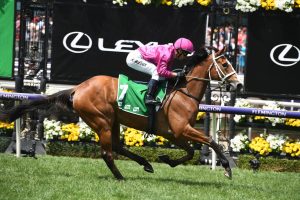 Sapphire Stakes Results 2020: Sure Knee Continues Waller Wins
