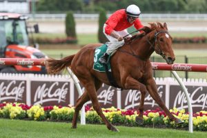 2020 Moonee Valley Vase Winner Cherry Tortoni Firms in VRC Derby Betting
