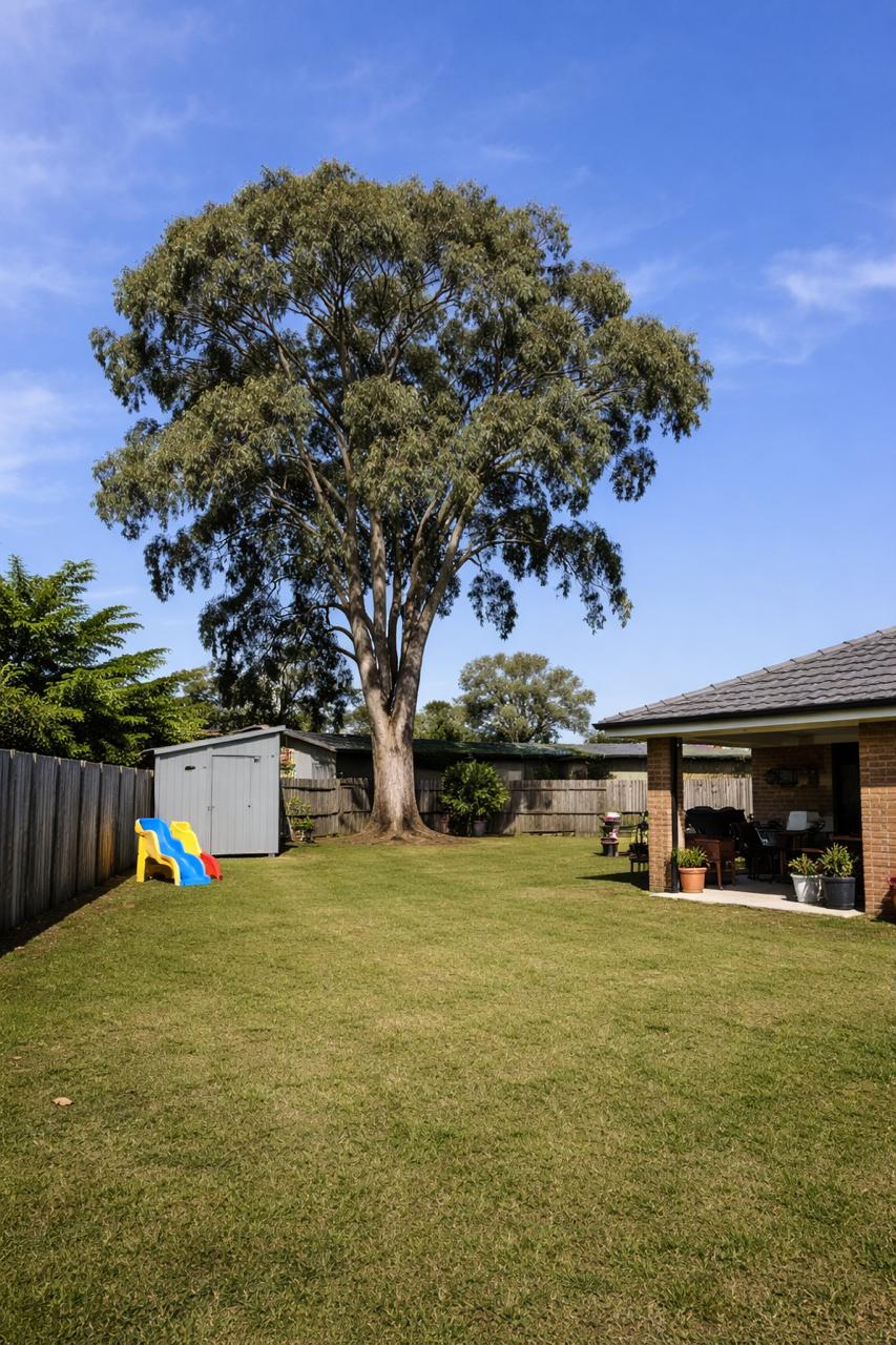 Large Tree Removal - Before
