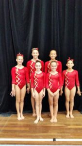 Delta Gymnastics Brisbane & Gold Coast