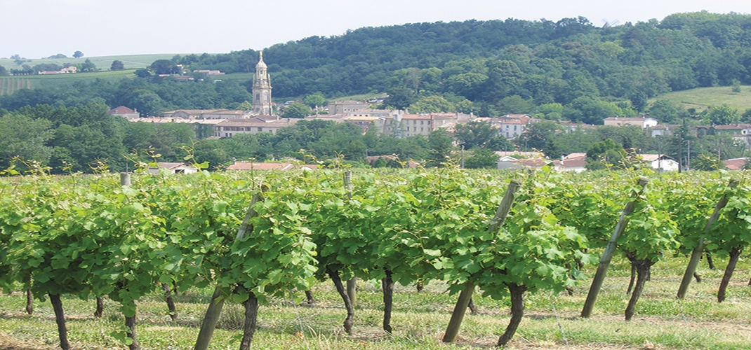 Bordeaux to Sarlat-la-Canéda Cycling Tour