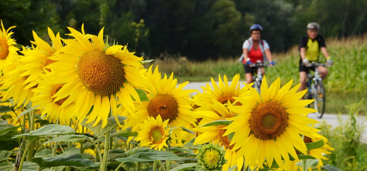 Danube Cycle Path Classic