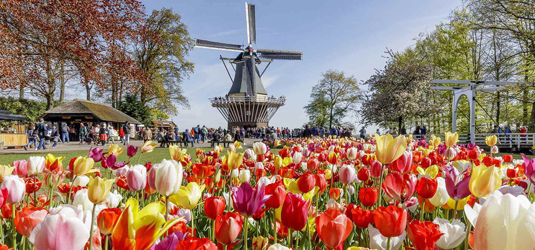 3 Night Amsterdam for Foodies