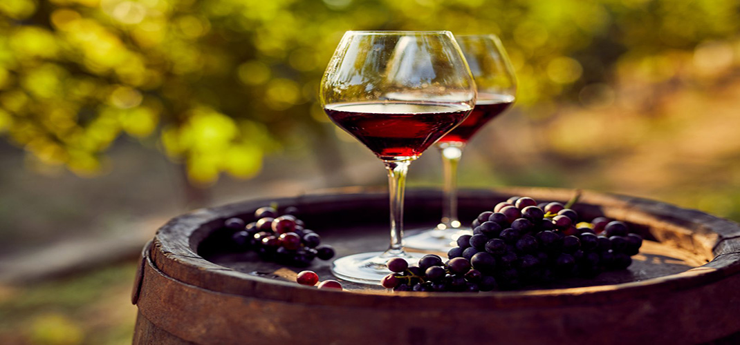 Dalmatian Island Cruising: Deluxe Wine Cruise