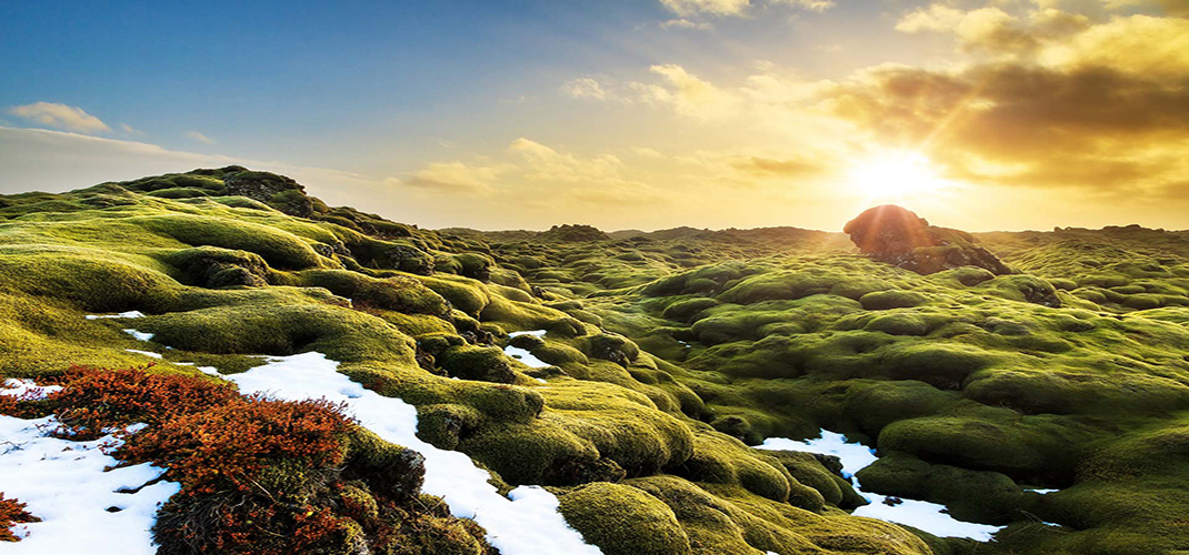 Around Iceland at a Leisurely Pace