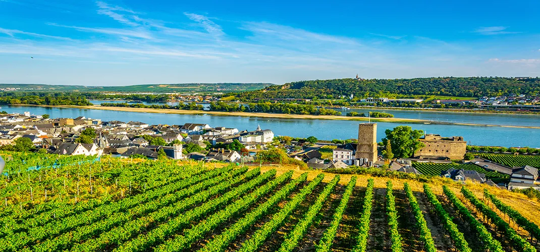 Swiss Alps & Rhine Castles Basel to Amsterdam